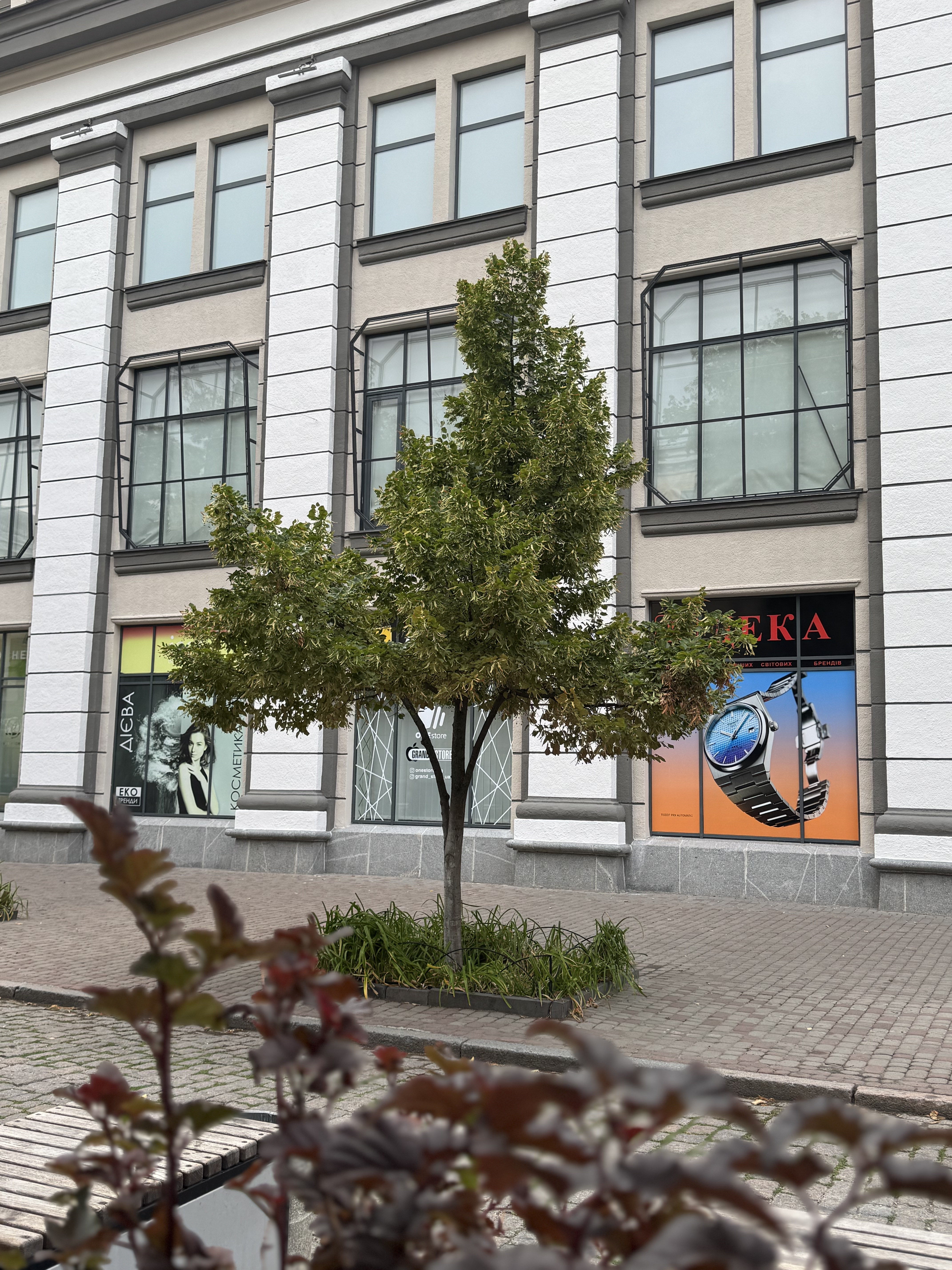 Приклад нашої роботи